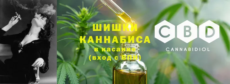 Бошки марихуана семена  хочу наркоту  блэк спрут вход  Ставрополь 